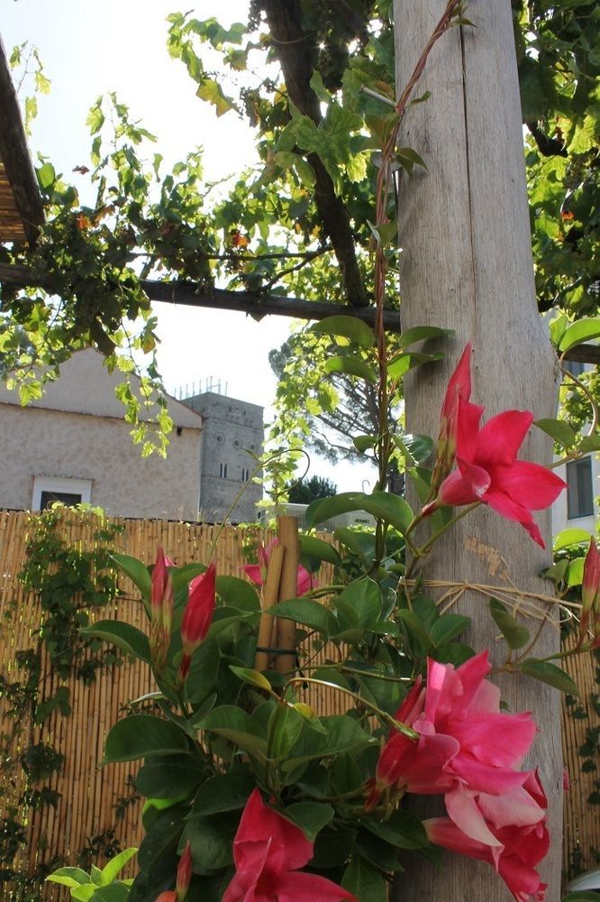Gelsomino Rooms Ravello Exterior photo